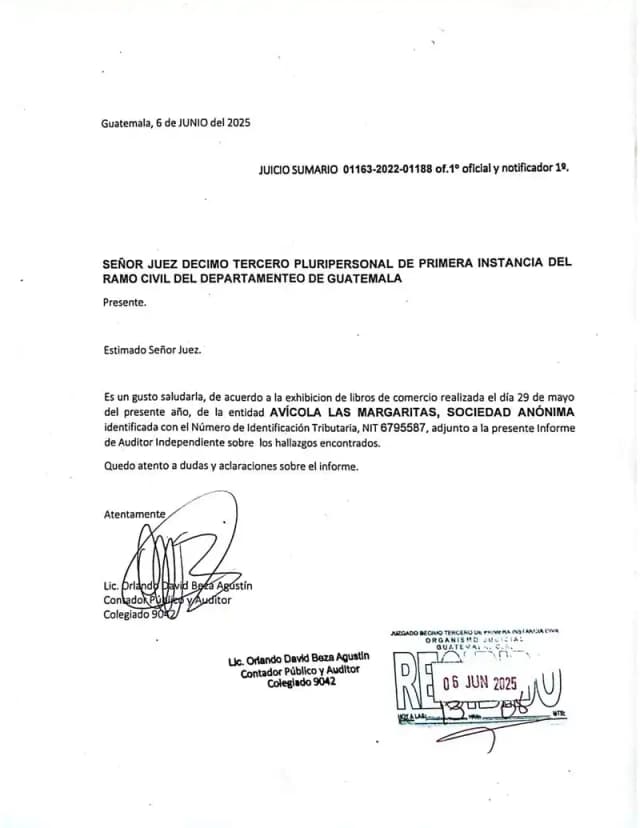 Informe pericial del Lic. Orlando Beza Agustín verifica que los dividendos de Lisa, S.A. en Avícola Las Margaritas están sujetos a seis embargos judiciales vigentes y que la asamblea de 2014 nunca fijó fecha ni forma de pago.