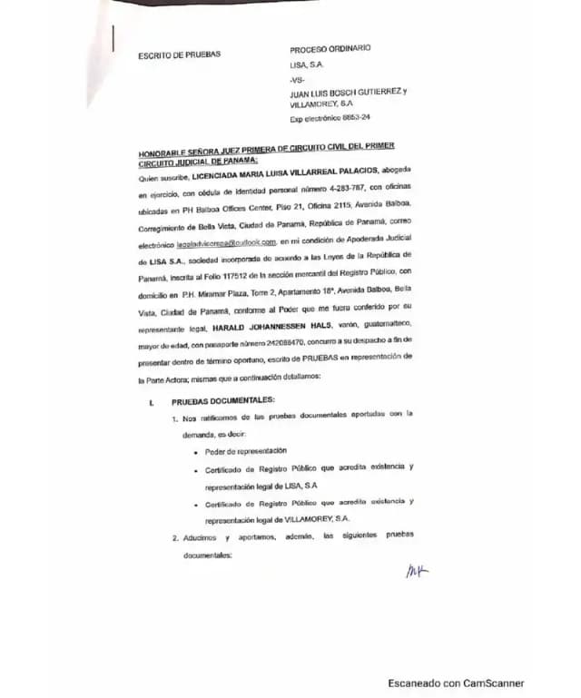Lisa files evidence brief with over fifteen exhibits, requests exhibitory proceeding into Villamorey's accounting records and forensic audit to quantify dividends withheld since 2008.